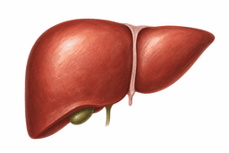 Hepatology