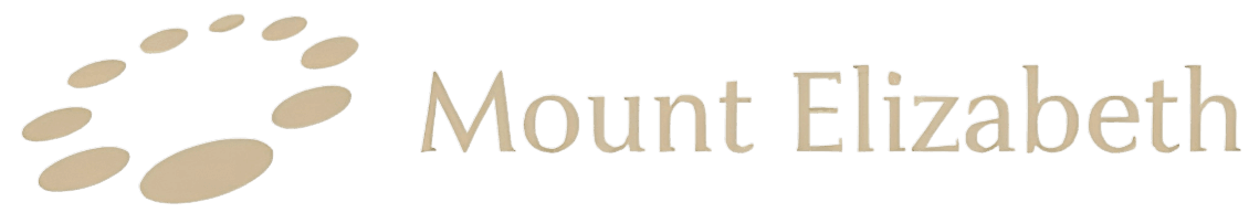 Mount Elizabeth Hospital