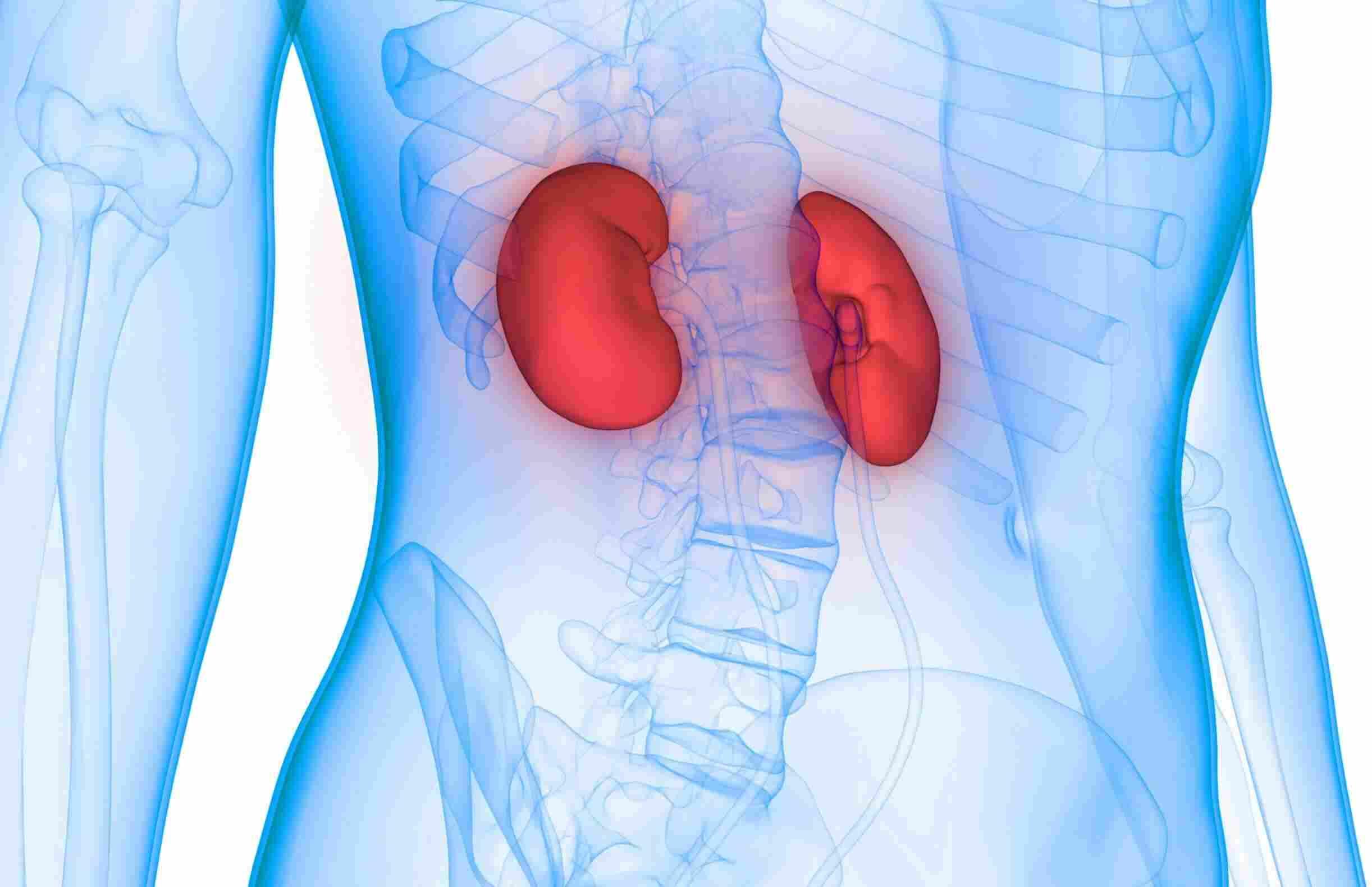 Kidney Transplant - Yapita Health