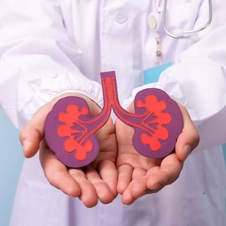Kidney Transplant at Medical Park, Istanbul, Turkey