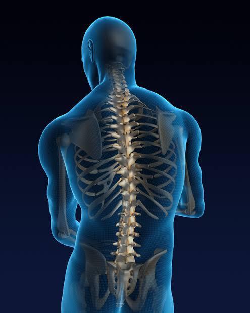 Spine Decompression Surgery at Saudi German, Dubai, UAE