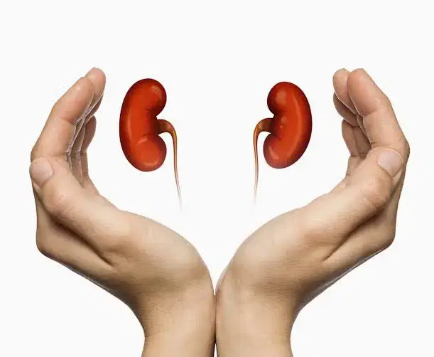 Kidney Transplant at BLK Max Hospital, New Delhi, India
