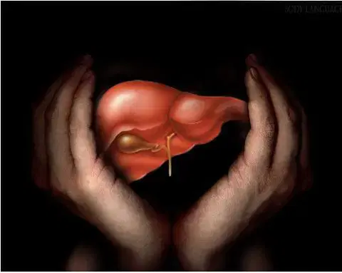 Liver Transplant at Medical Park, Istanbul, Turkey
